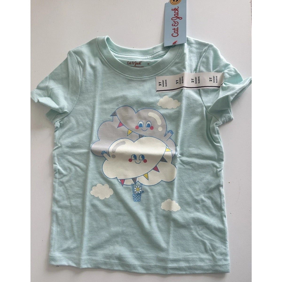 Cat & Jack Toddler Girl T-Shirt Size 2T Mint Cloud Graphic Short Sleeve NEW