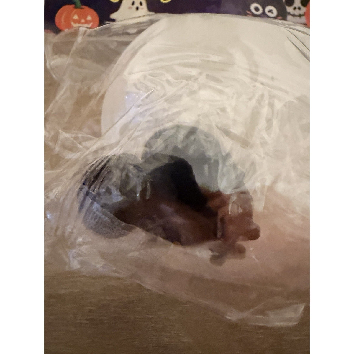Halloween White Skull Skeleton Smusher-Style Face Swap Squishy Sensory Toy