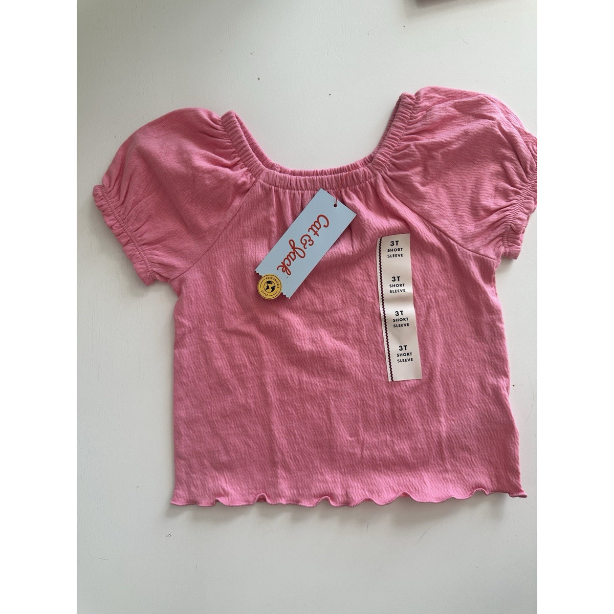 Cat & Jack Girls Pink Smocked Short Sleeve Top NWT Size 3T & 5T